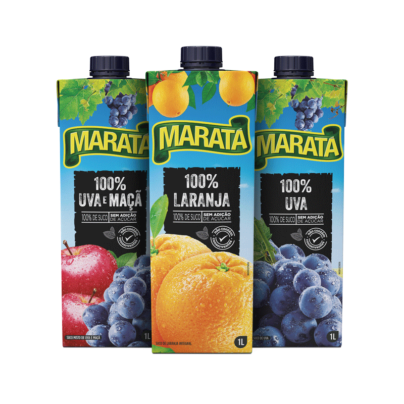 Suco Integral 100%